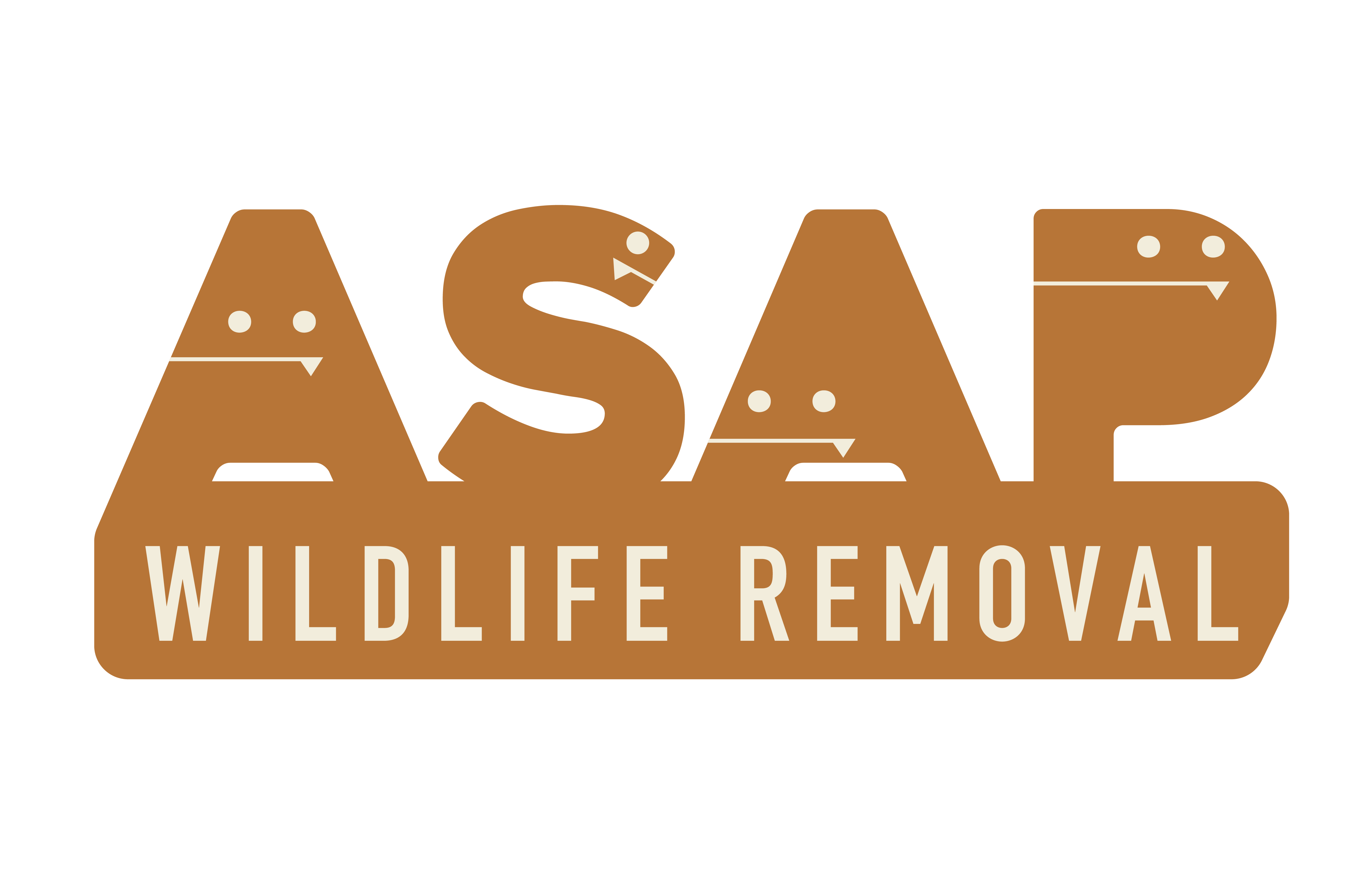 ASAP Wildlife Removal